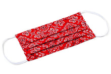 Load image into Gallery viewer, Bandana Style 100% Cotton Cloth Face Mask by Joyful Gnomes