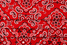 Load image into Gallery viewer, Joyful Gnomes 100% Cotton Handmade Cloth Face Mask