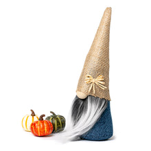 Load image into Gallery viewer, Joyful Gnomes Fall Harvest Pumpkin Gnomes